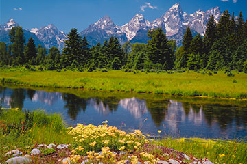 A river in Wyoming